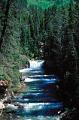 canada alberta 17